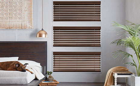 hunter douglas window treatments